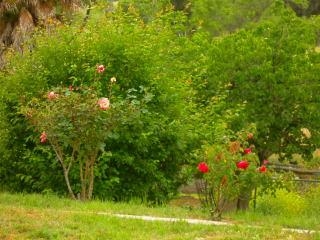 31116 Old River Road Bonsall, CA 92003 - Photo 10 of 15