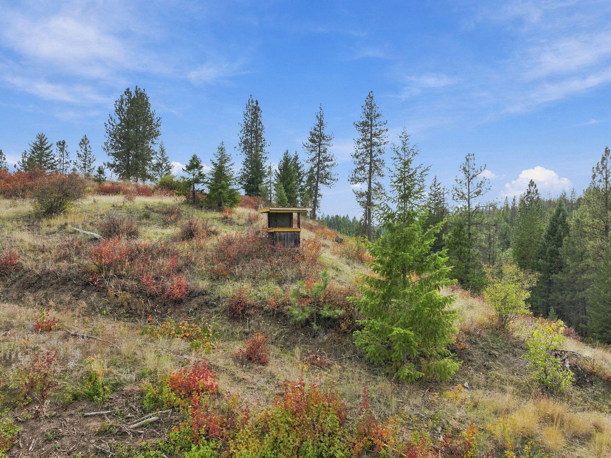 3488 Little Sweden Road, Unit B Valley, WA 99181 - Photo 8 of 49 Gallery Image 8