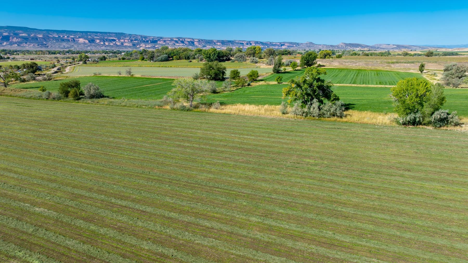 1347 18 1/2 Road Fruita, CO 81521 - Photo 22 of 37 a view of an ocean from a building