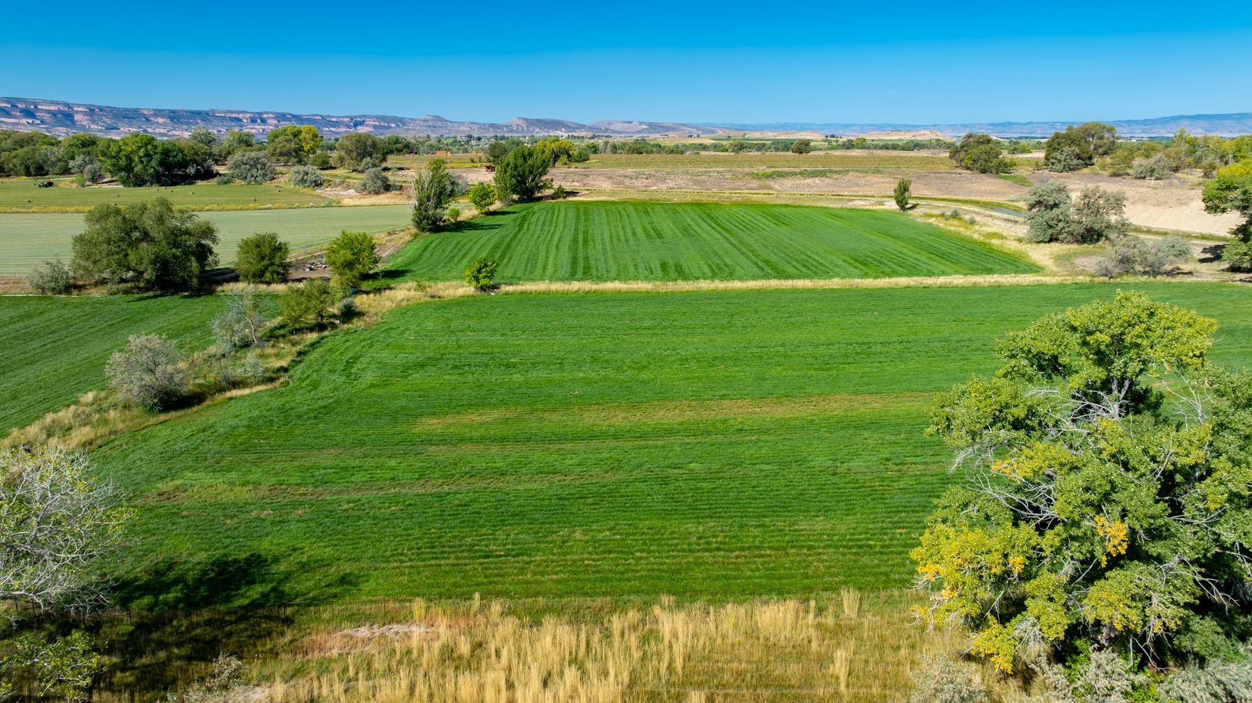 1347 18 1/2 Road Fruita, CO 81521 - Photo 23 of 37 a view of an ocean and a yard