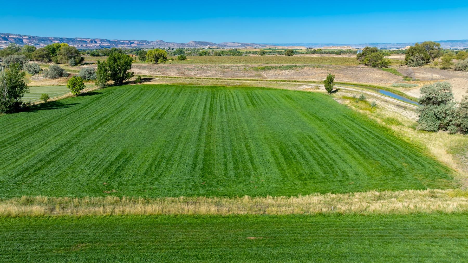 1347 18 1/2 Road Fruita, CO 81521 - Photo 24 of 37 a view of an ocean from a yard