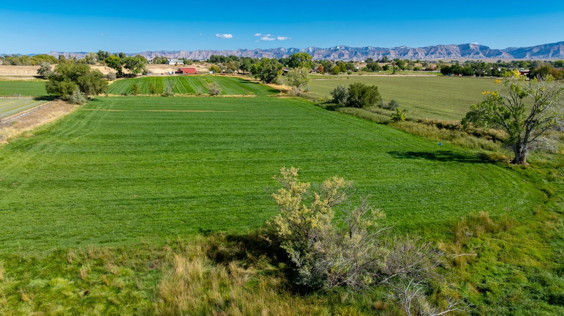 1347 18 1/2 Road Fruita, CO 81521 - Photo 32 of 37 a view of a city