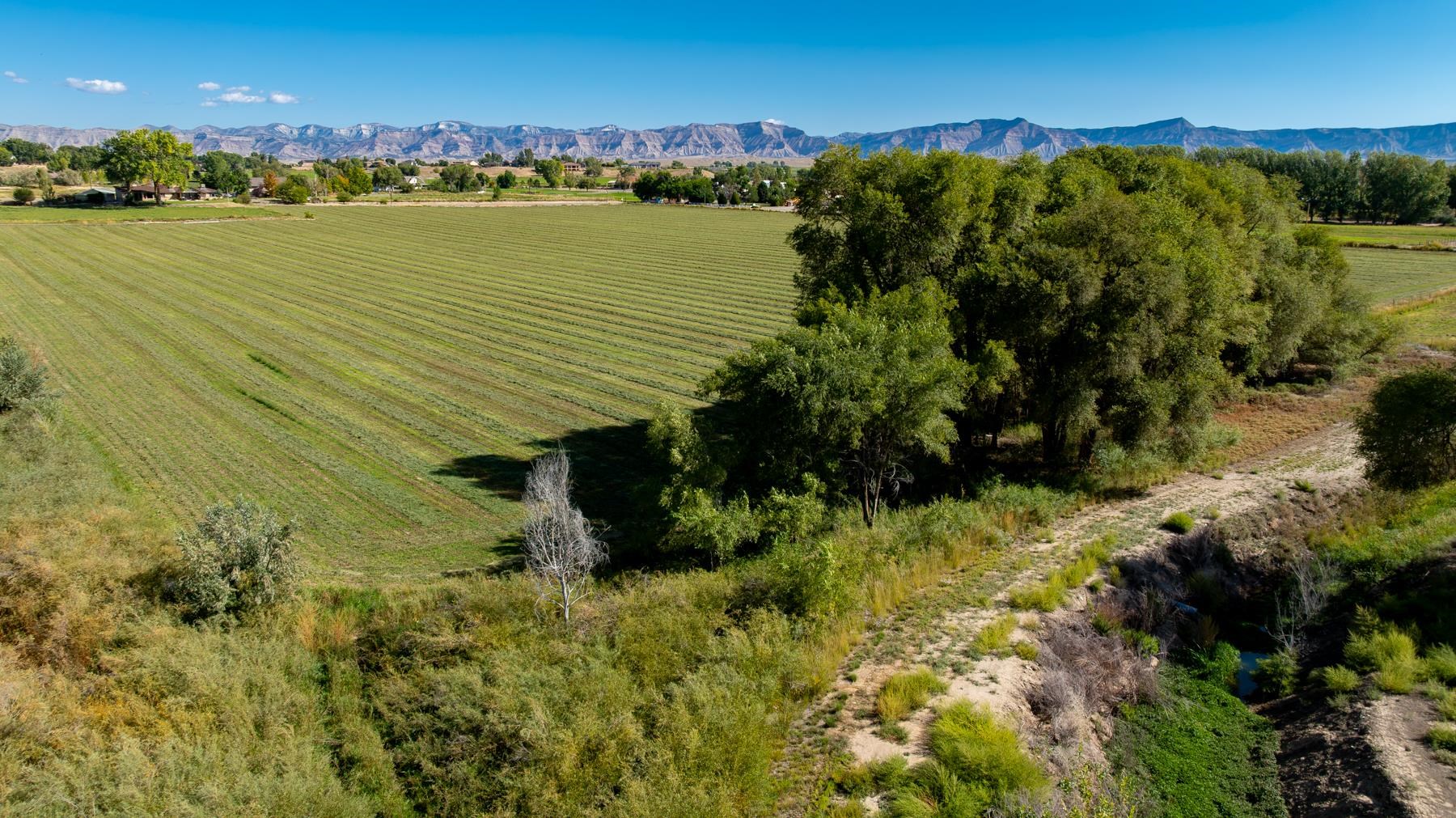 1347 18 1/2 Road Fruita, CO 81521 - Photo 34 of 37 a view of lake view and mountain view