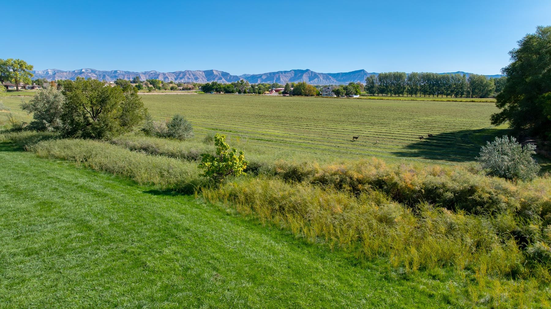 1347 18 1/2 Road Fruita, CO 81521 - Photo 6 of 37 a view of a lake and green valley