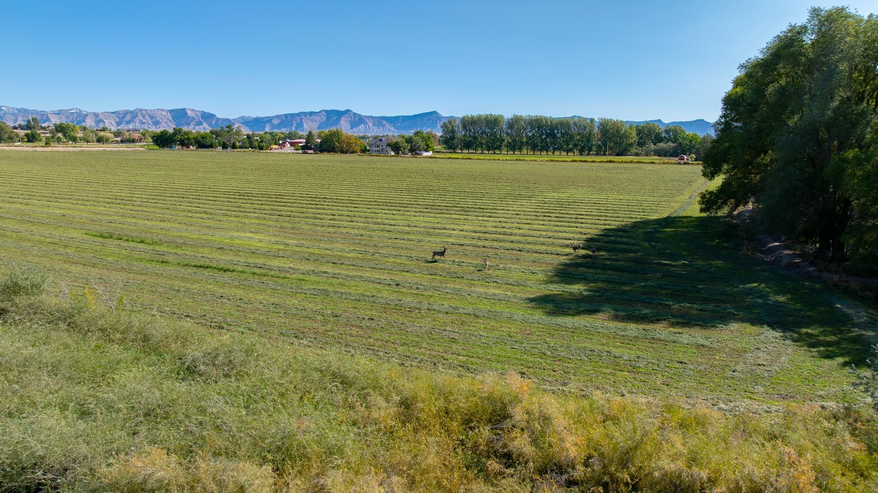 1347 18 1/2 Road Fruita, CO 81521 - Photo 7 of 37 a view of lake view and mountain view
