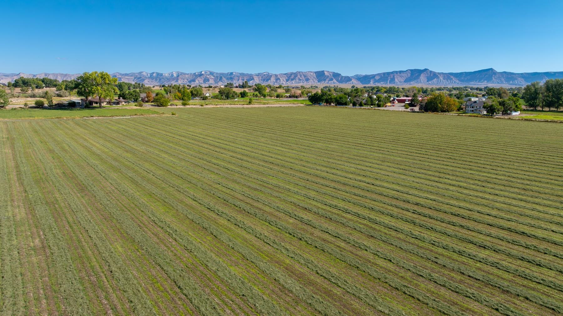 1347 18 1/2 Road Fruita, CO 81521 - Photo 8 of 37 a view of an ocean from a balcony