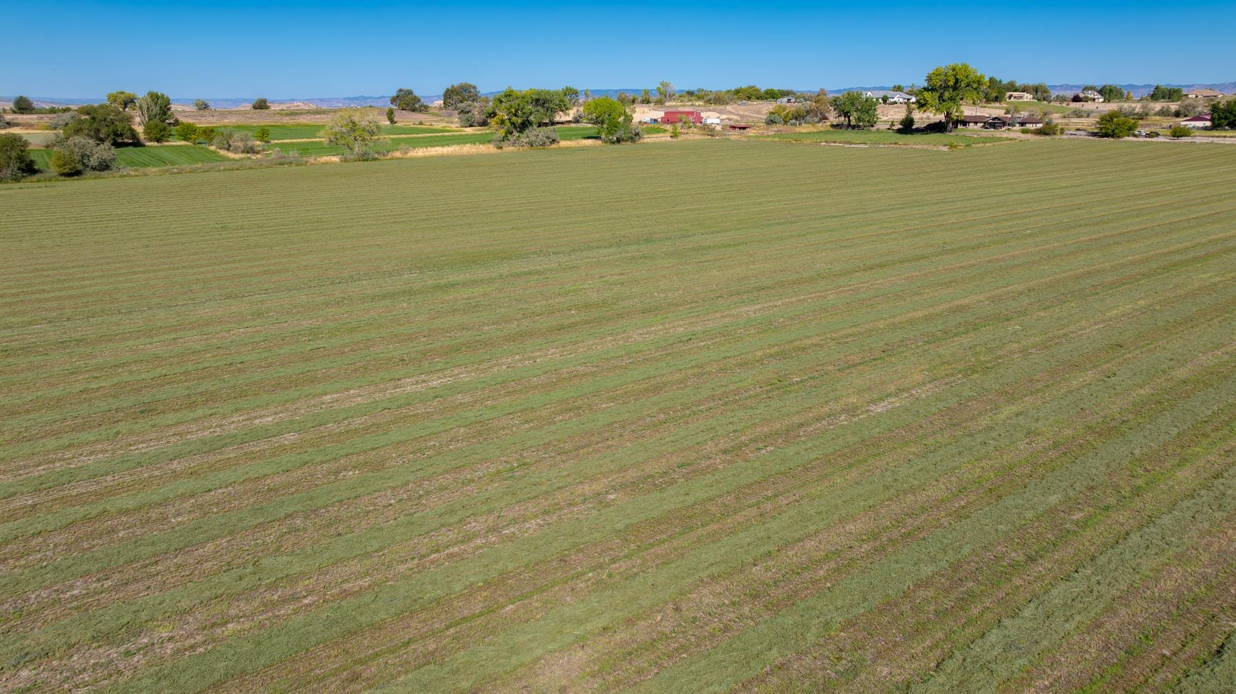 1347 18 1/2 Road Fruita, CO 81521 - Photo 10 of 37 a view of an ocean