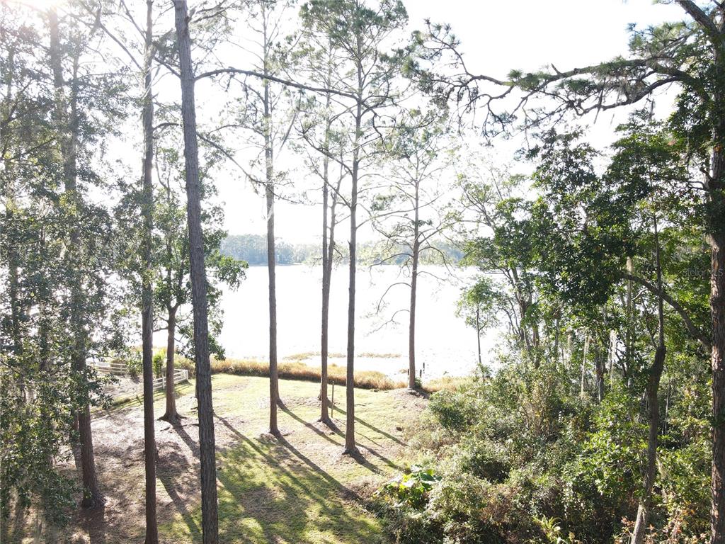 161 Riley Lake Drive Hawthorne, FL 32640 - Photo 9 of 48 Gallery Image 9