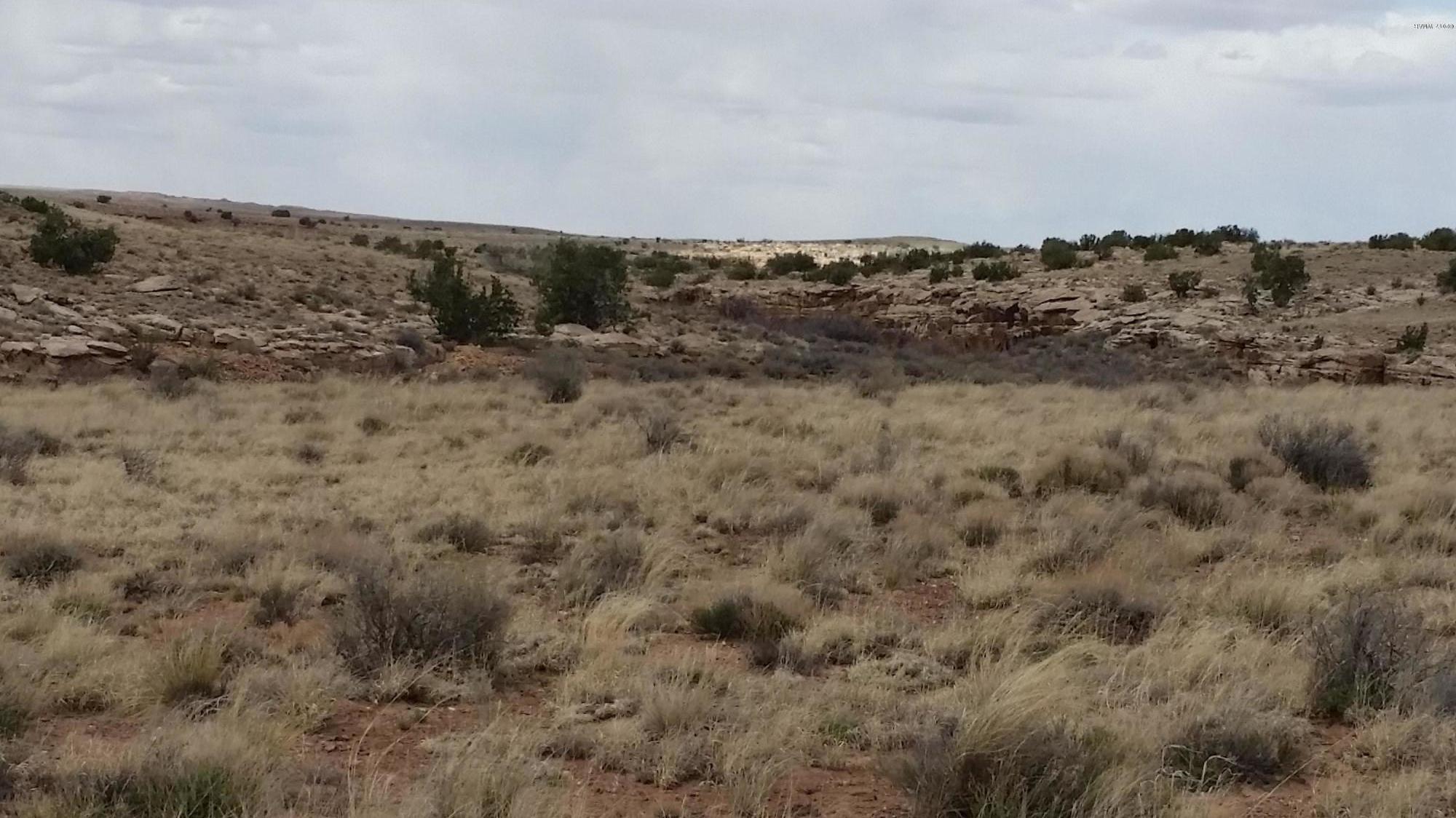 Tbd Woodruff Road Woodruff, AZ 85942 - Photo 2 of 4