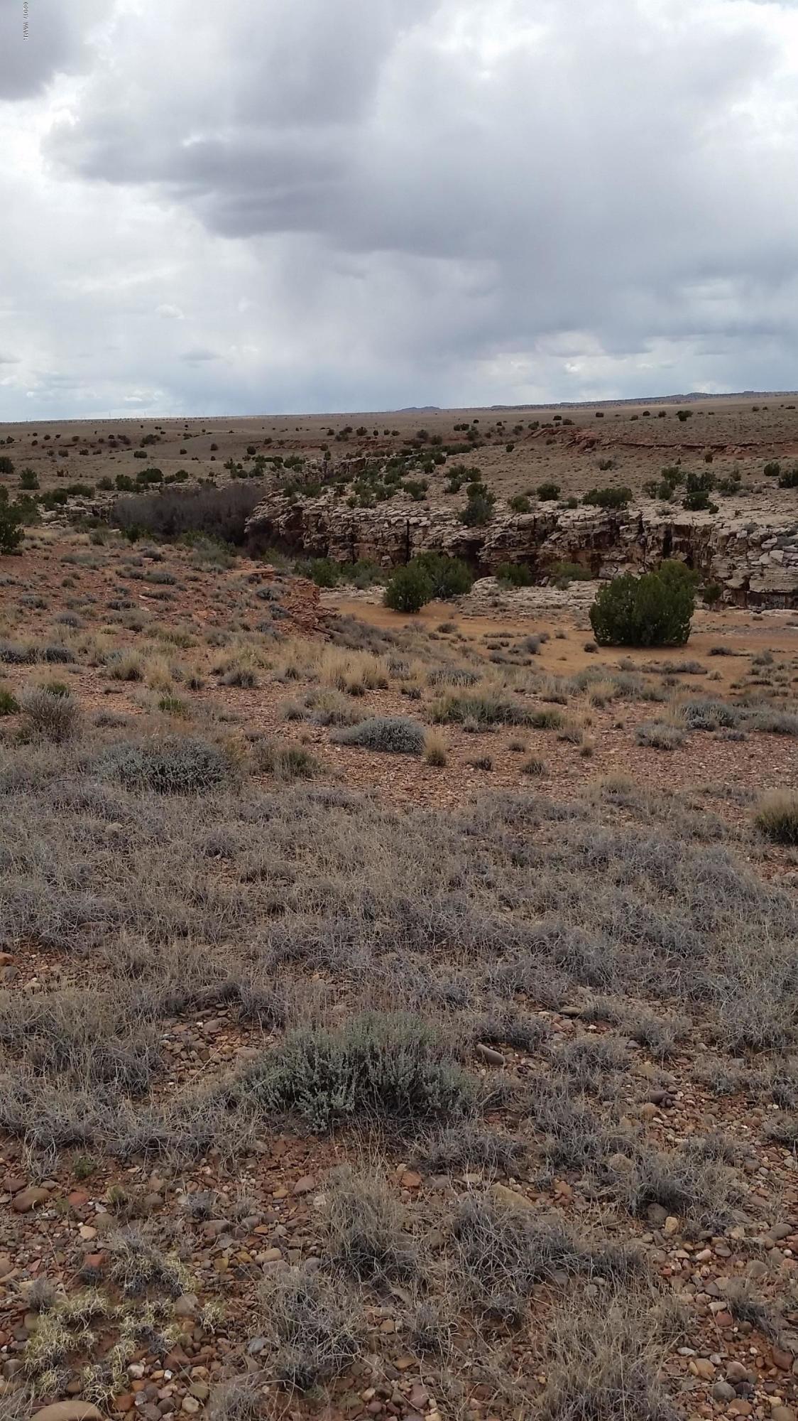 Tbd Woodruff Road Woodruff, AZ 85942 - Photo 3 of 4