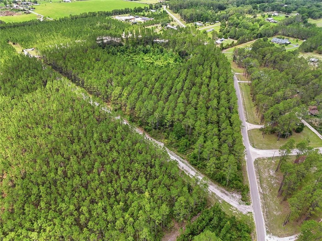 Southwest 89th Street Lake Butler, FL 32054 - Photo 8 of 15
