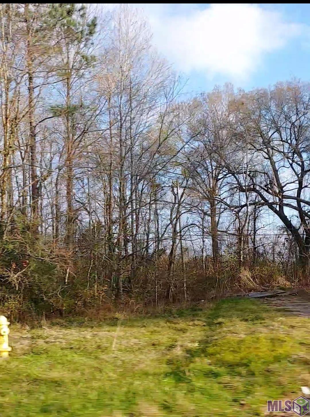 Lot 52-a&b Lot 52-a&b El Scott Avenue Baton Rouge, LA 70811 - Photo 1 of 1