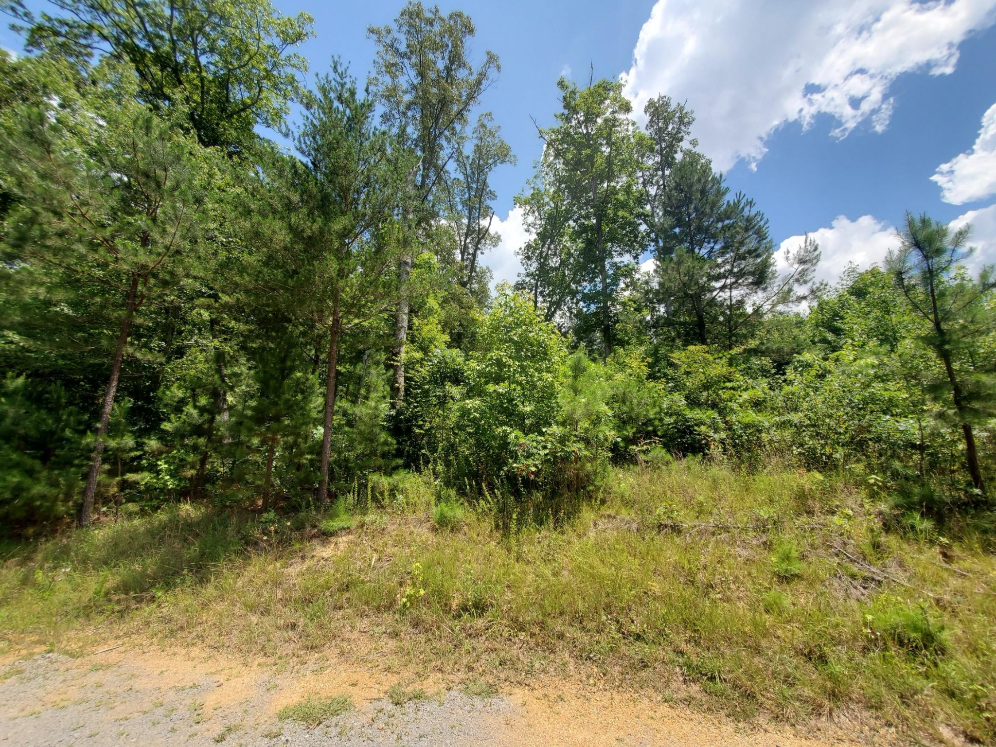 0 Farmington Ridge Drive Dunlap, TN 37327 - Photo 3 of 5 Gallery Image 3