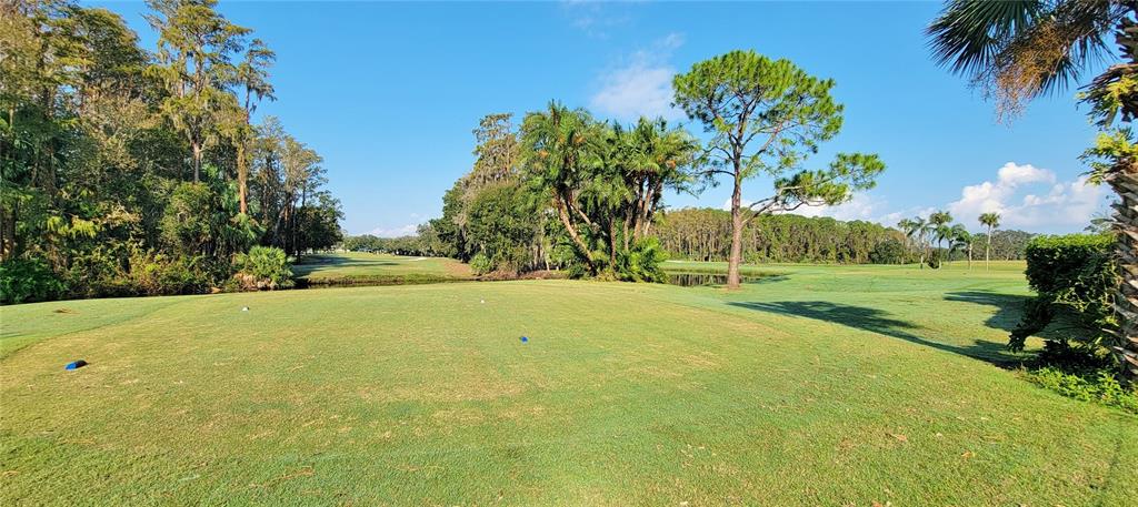 3342 Teeside Drive New Port Richey, FL 34655 - Photo 40 of 45 a view of outdoor space with playground and green space