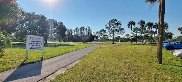 a view of a park with large trees