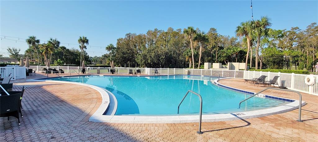 3342 Teeside Drive New Port Richey, FL 34655 - Photo 43 of 45 a view of a swimming pool with a patio