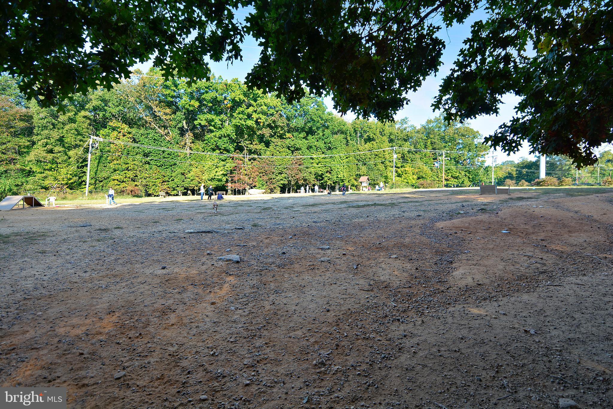 8106 Rhodell Lane Springfield, VA 22153 - Photo 41 of 48 Dog Park in community