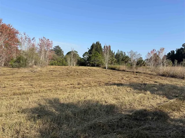 a view of dirt field with trees around