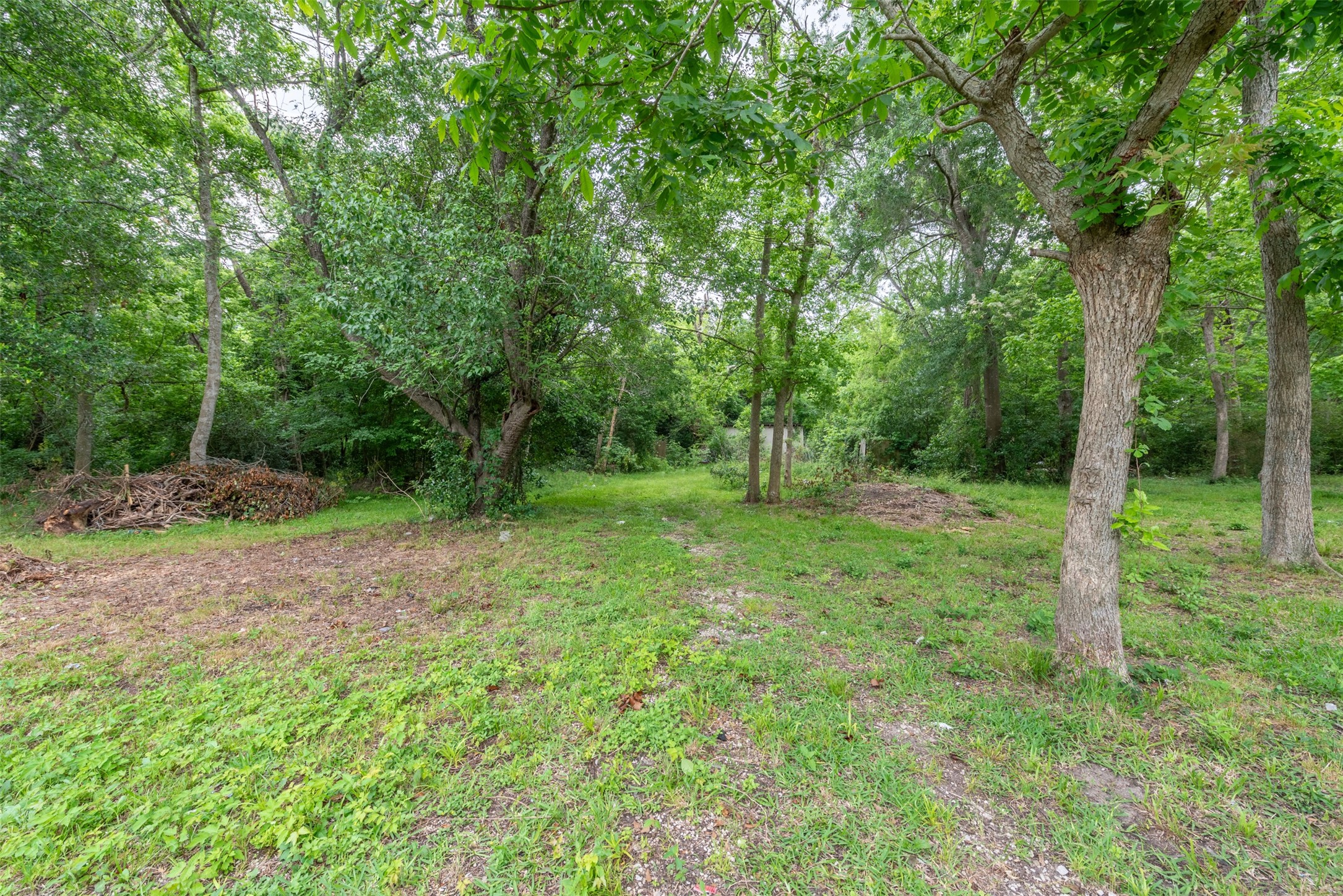 4102 Kinkaid Street Houston, TX 77093 - Photo 14 of 22