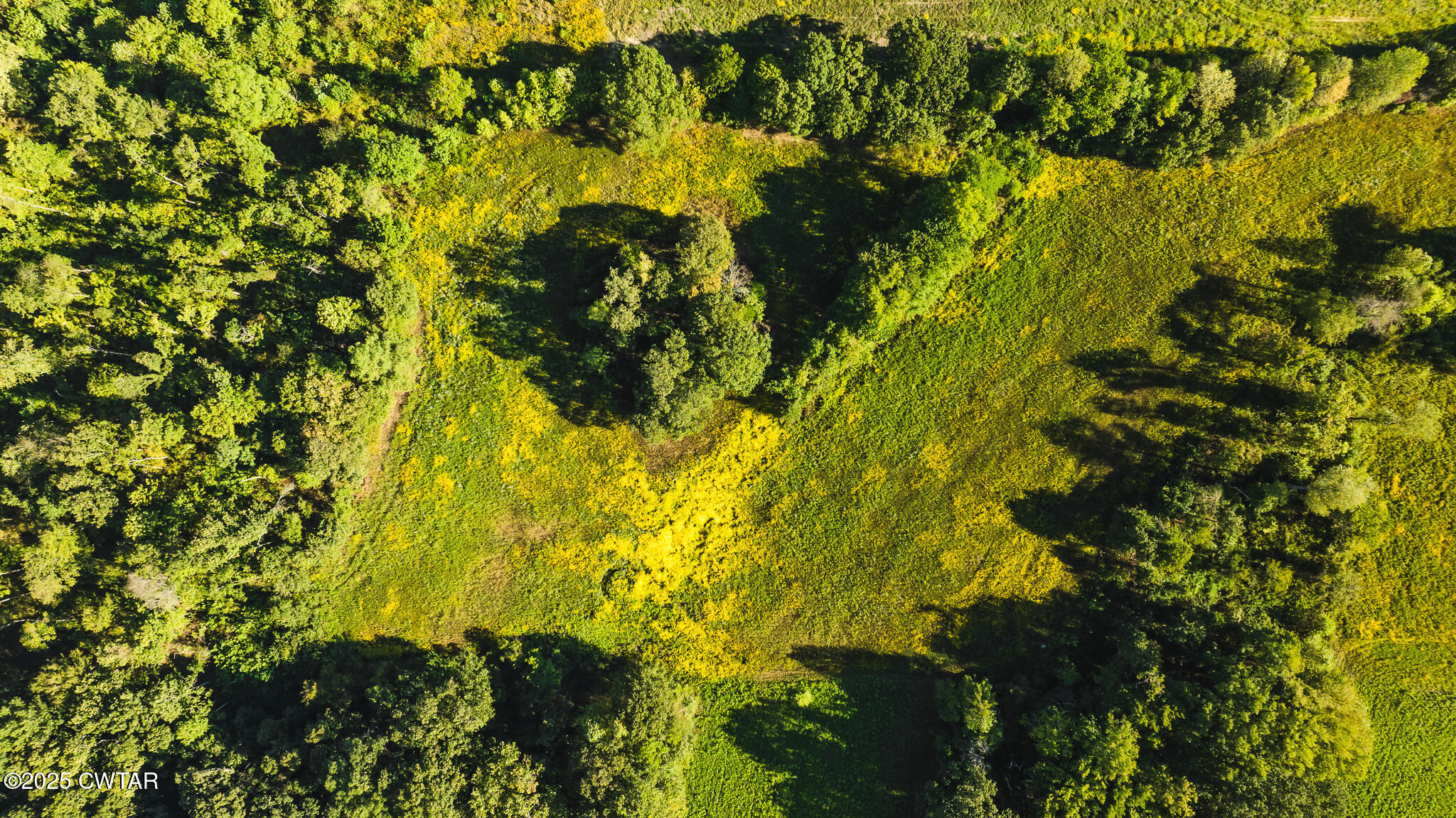 4201 Austin Springs Road Dukedom, TN 38226 - Photo 8 of 12 DJI_20250908090001_0018_D