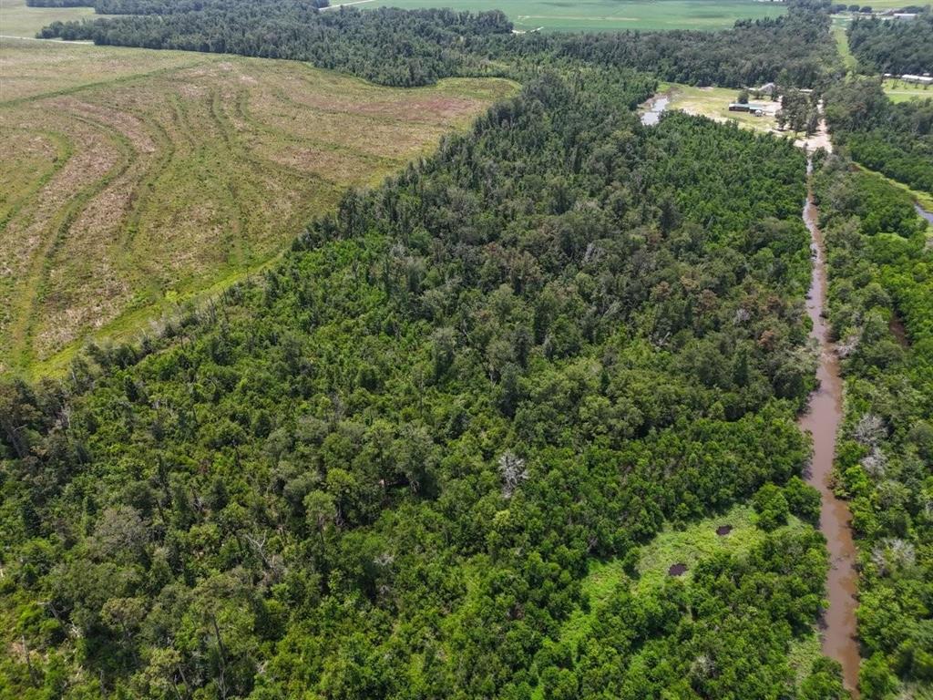 632-634 Coonie Jackson Ragley, LA 70657 - Photo 47 of 49