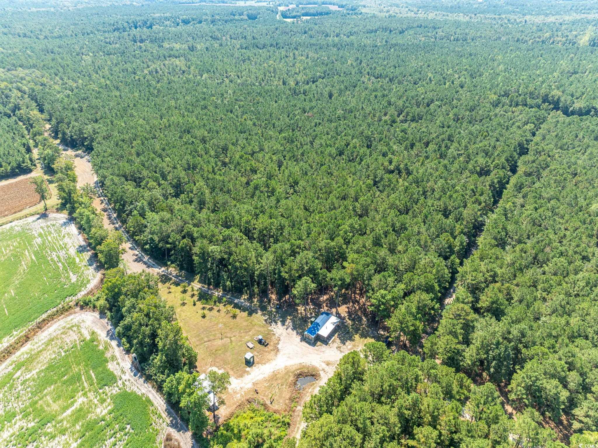 0 No Where Road Clarendon, NC 28432 - Photo 15 of 22 Aerial view of a forest