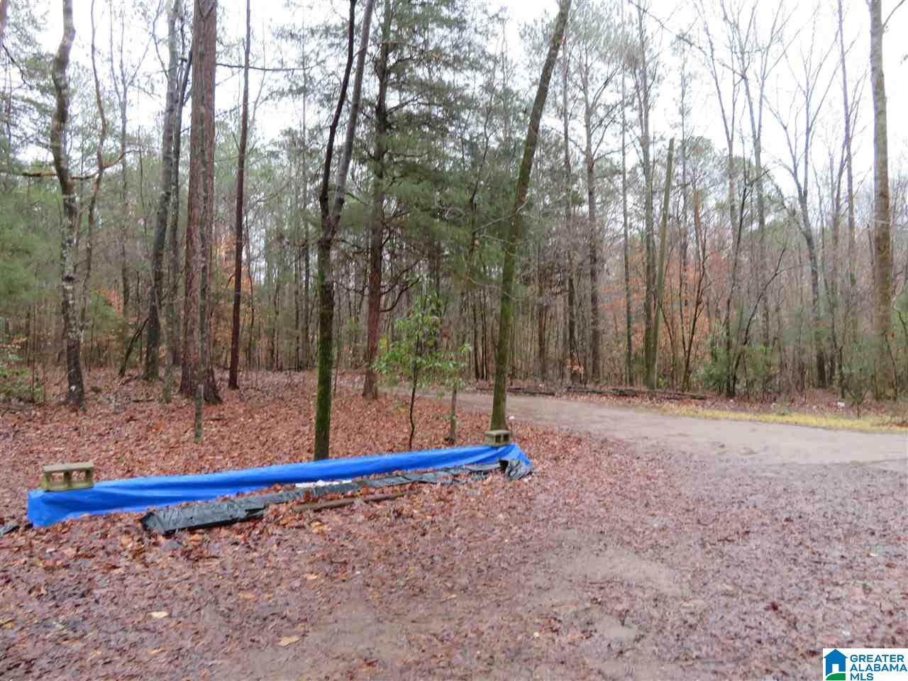 138 Cedar Grove Road West Blocton, AL 35184 - Photo 2 of 44
