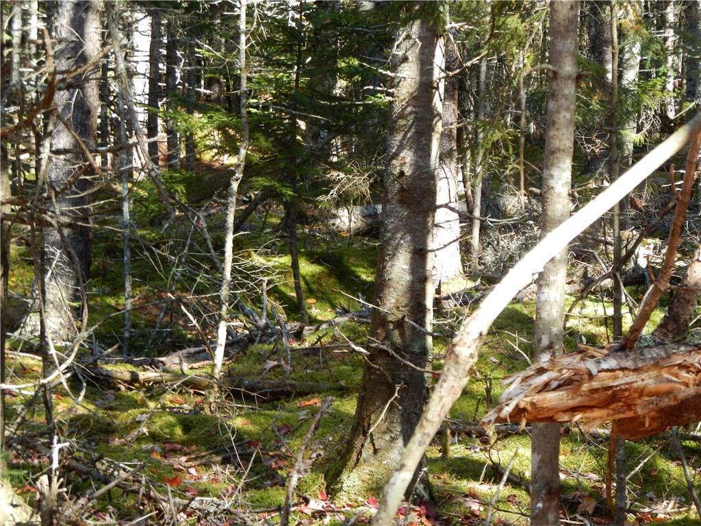 Lot 38 Grand Marsh Bay Road Corea, ME 04624 - Photo 7 of 17 Photo