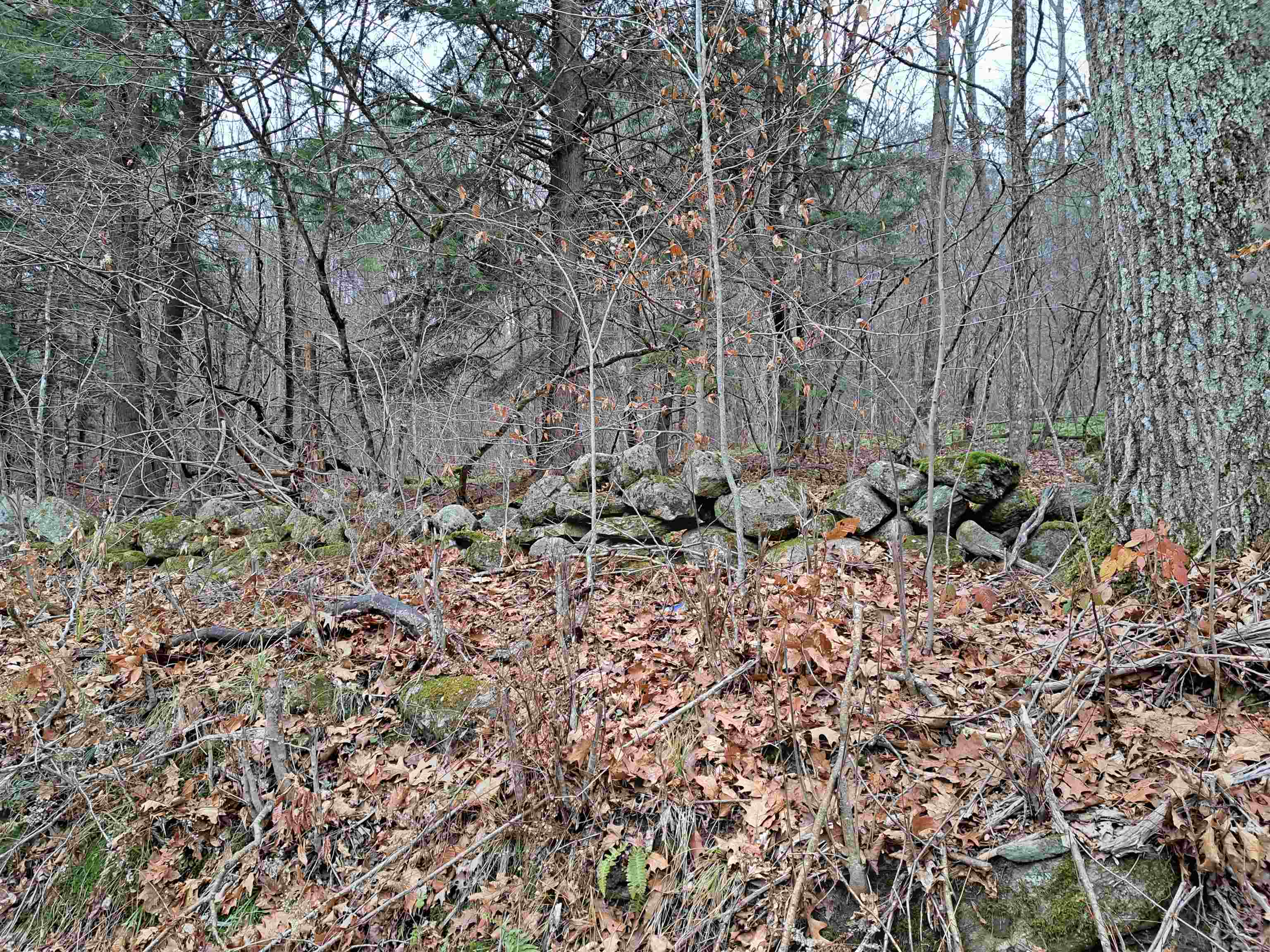 2 West Unity Road, Unit 2 Claremont, NH 03743 - Photo 8 of 8