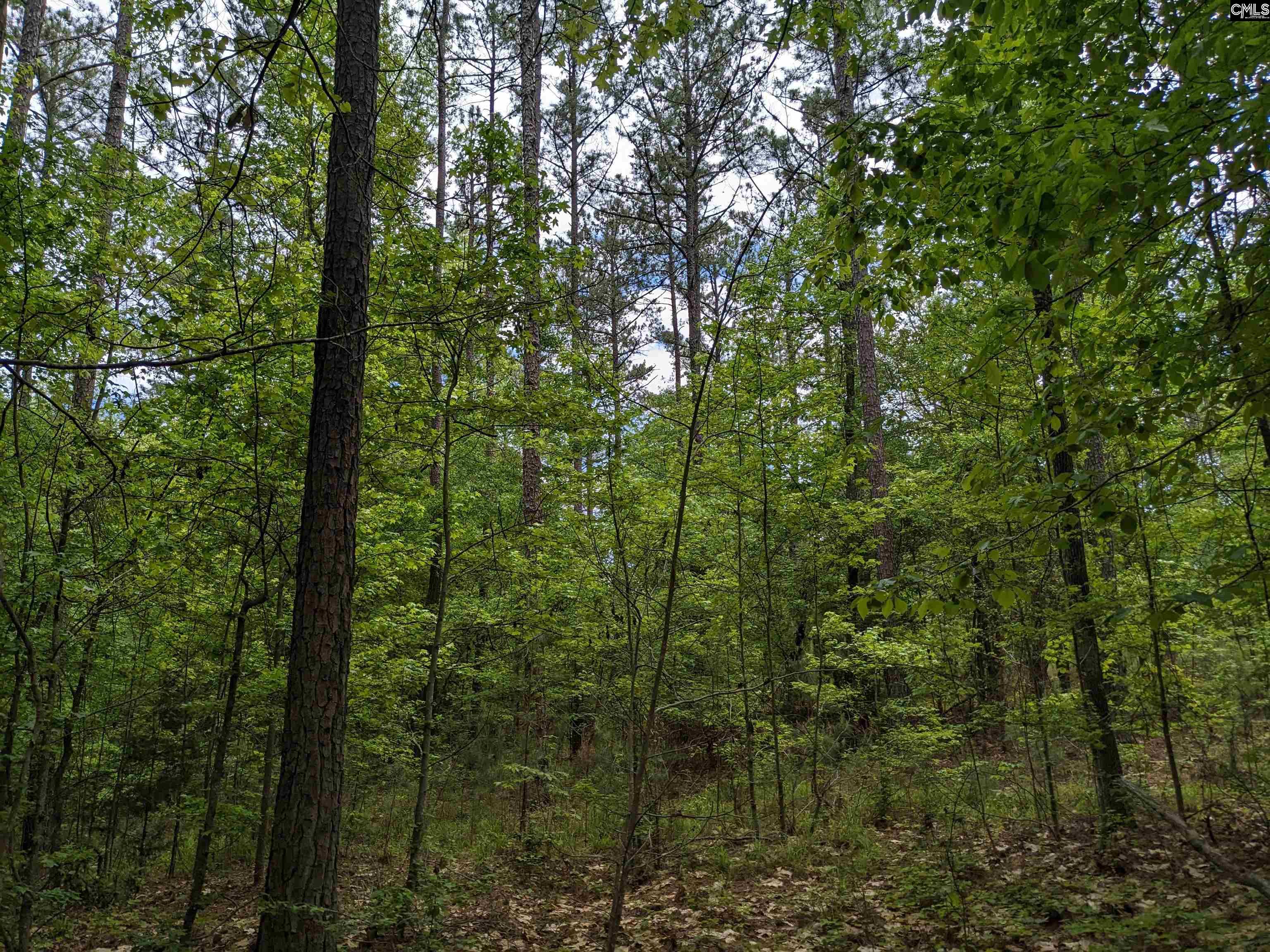 Syrup Mill Road Ridgeway, SC 29130 - Photo 10 of 33