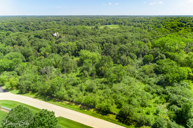 0 Steeplechase Road Chicago, IL 60639 - Photo 17 of 21
