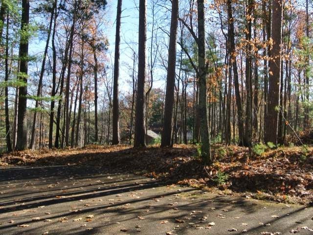 Lot 3 Streater Road Minocqua, WI 54548 - Photo 18 of 19 Gallery Image 18
