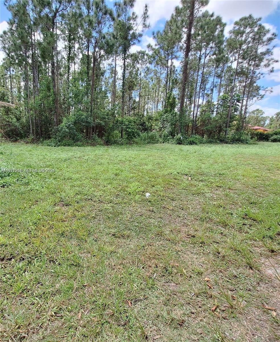 19310 Southwest 134th Court Homestead, FL 33033 - Photo 1 of 4 a view of a yard with a tree