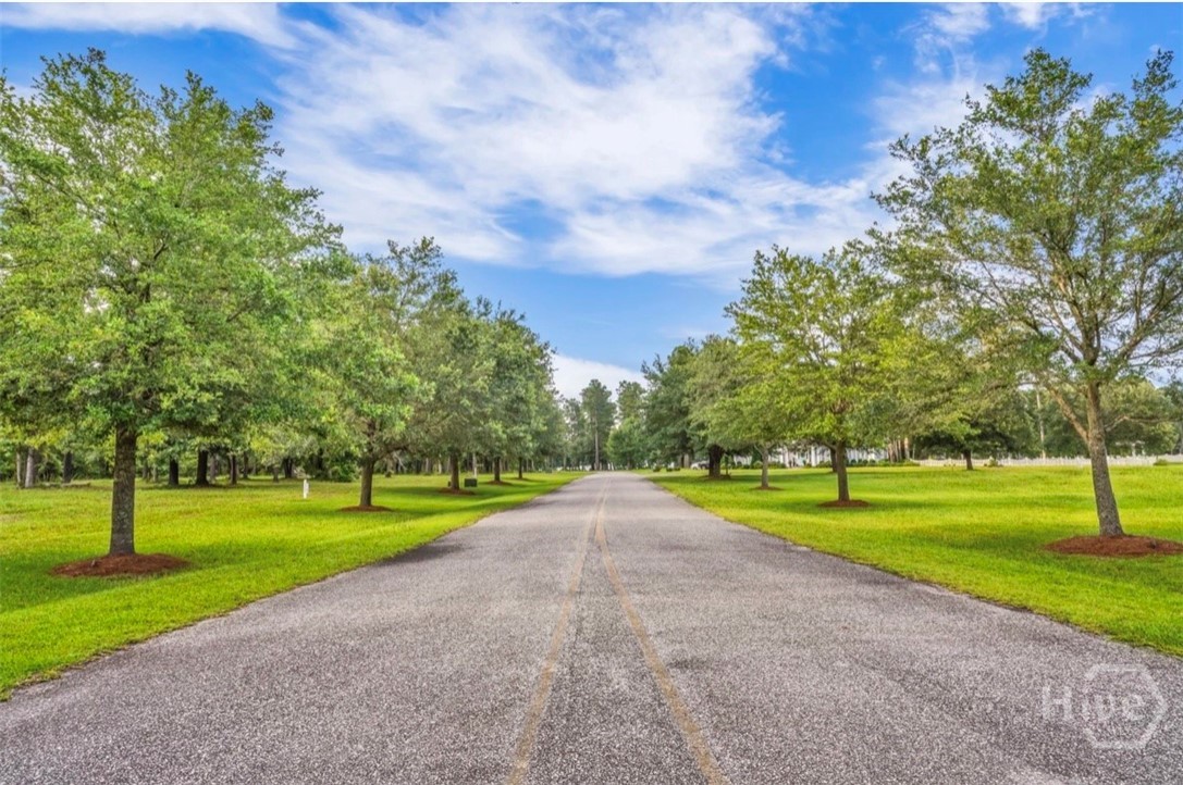 0 Northeast Baker Island Way, Unit LOT 11 Townsend, GA 31331 - Photo 3 of 29 Gallery Image 3