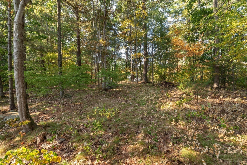 0 Currier Road Manchester, MA 01944 - Photo 3 of 5 Gallery Image 3