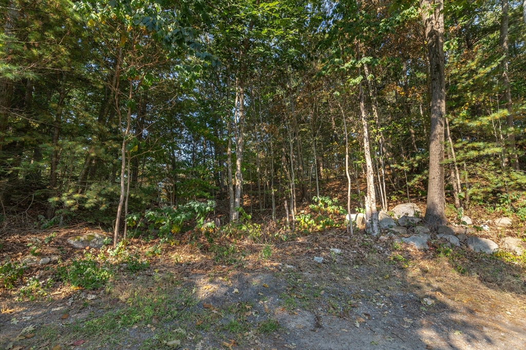 0 Currier Road Manchester, MA 01944 - Photo 5 of 5 Gallery Image 5