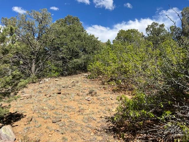 96 River Ridge Trail Walsenburg, CO 81089 - Photo 22 of 28