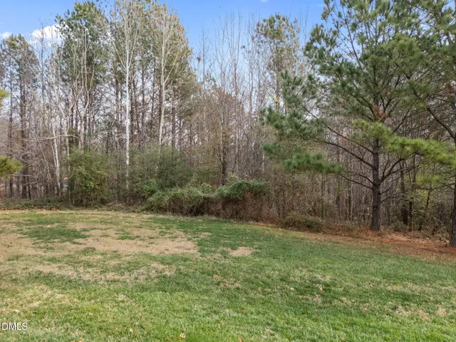 a view of a yard with trees