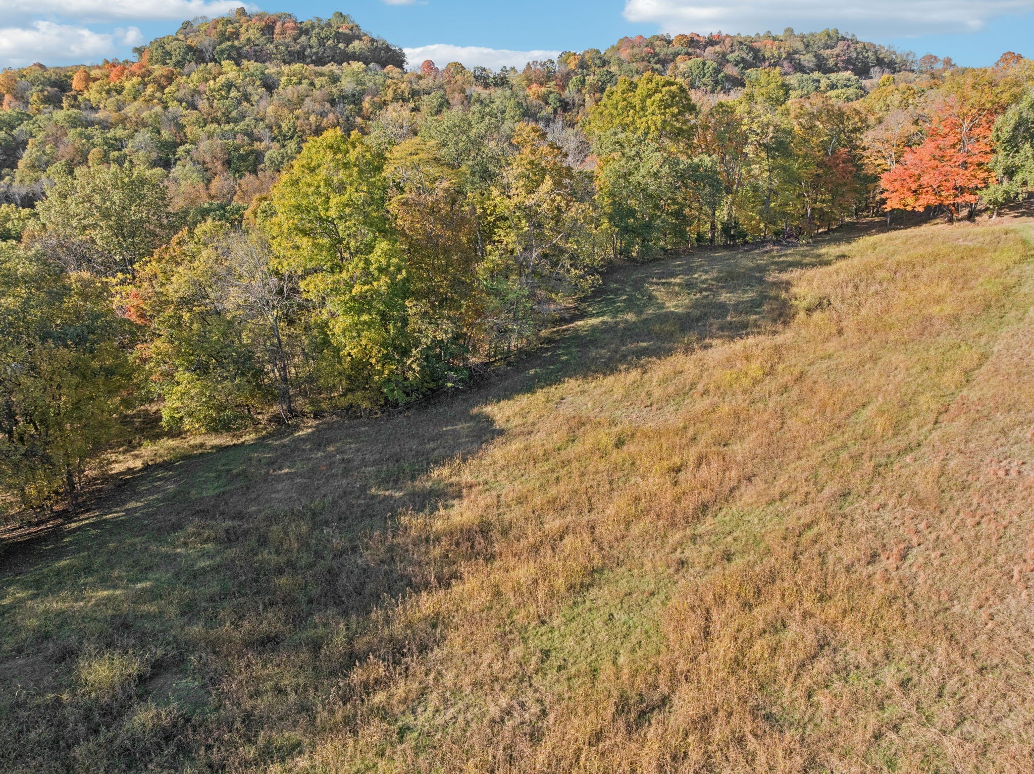 0 Wolf Hill Road Bethpage, TN 37022 - Photo 18 of 23