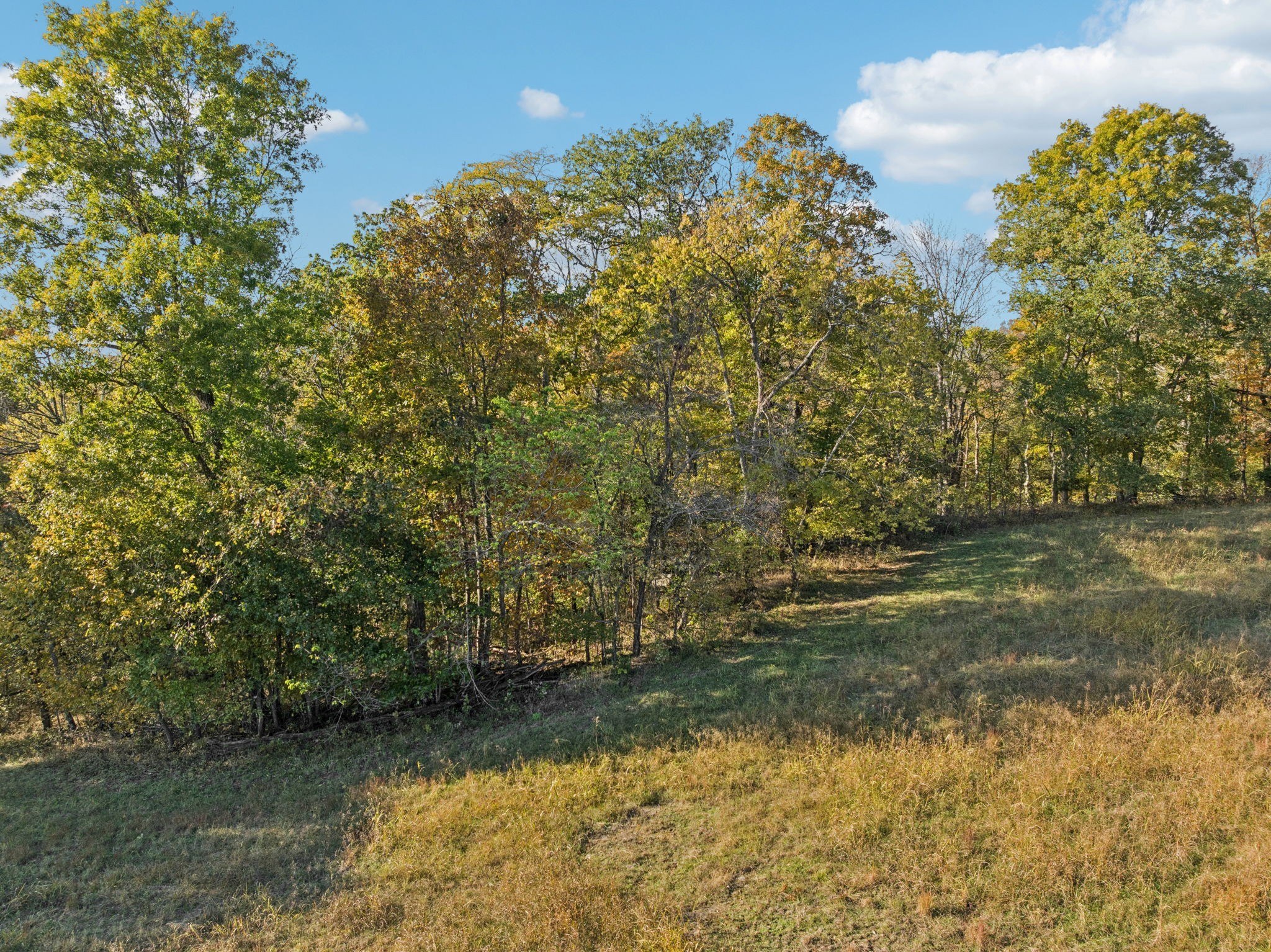 0 Wolf Hill Road Bethpage, TN 37022 - Photo 20 of 23