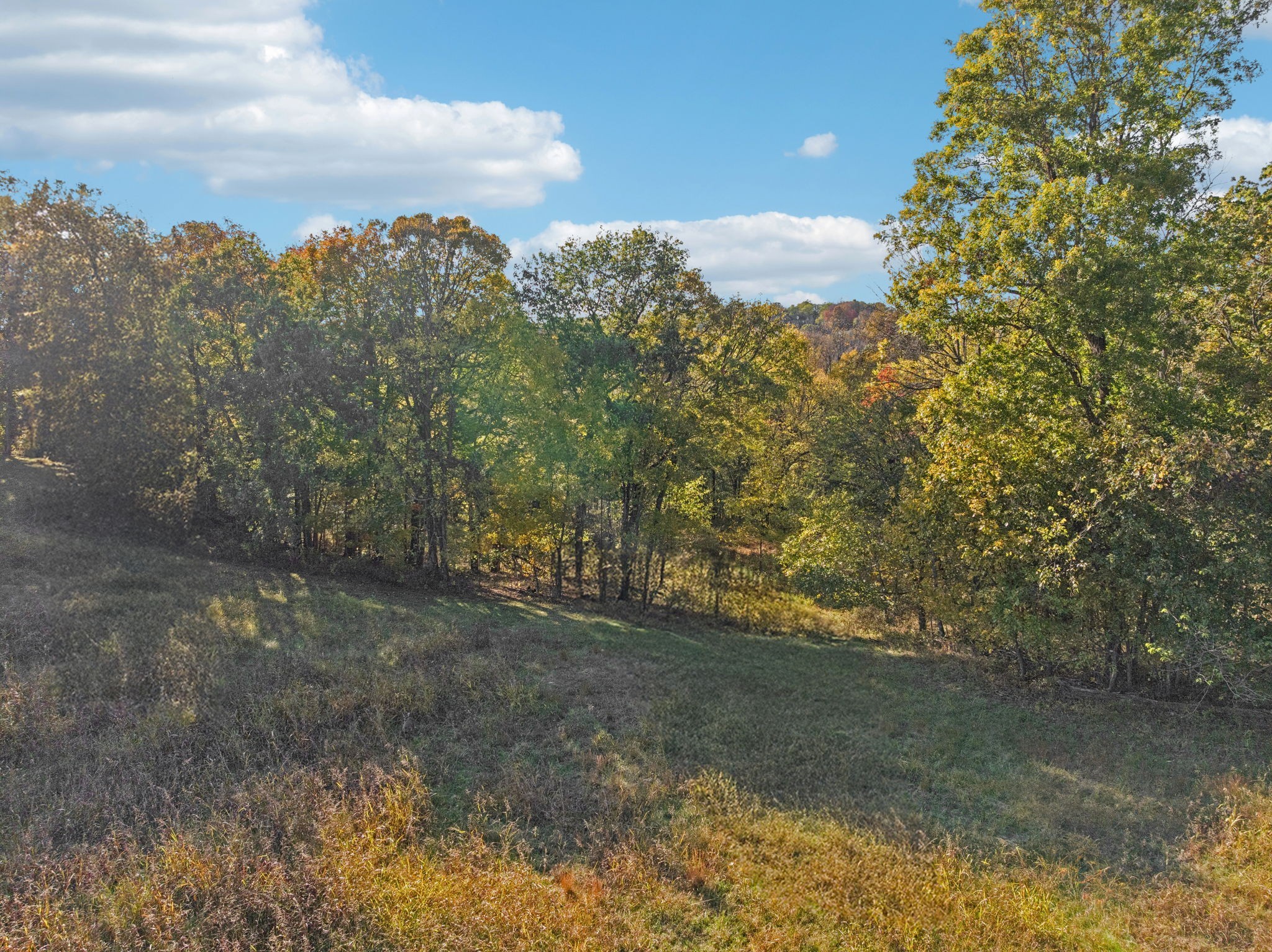 0 Wolf Hill Road Bethpage, TN 37022 - Photo 21 of 23
