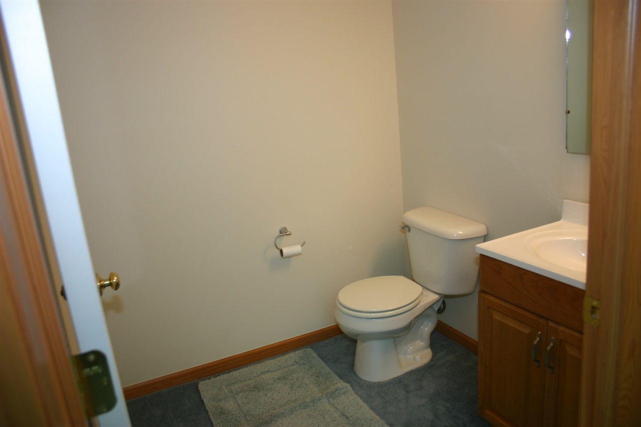 557 Stone Ridge Court Almont, MI 48003 - Photo 21 of 37 31316750-20.JPG