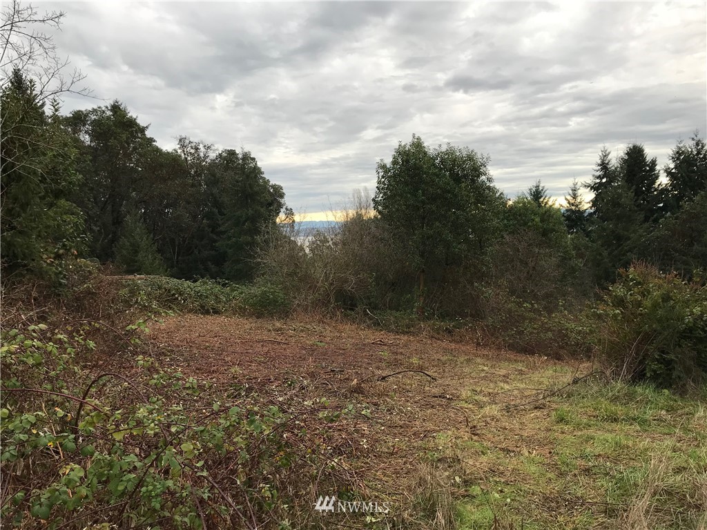92-xx Southwest Summerhurst Road Vashon, WA 98070 - Photo 1 of 6 Gallery Image 1