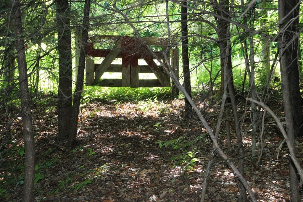 0 Conway Road Ashfield, MA 01330 - Photo 18 of 18 a view of a yard with large trees