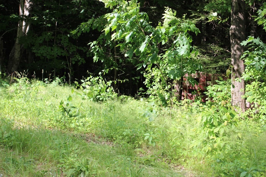 0 Conway Road Ashfield, MA 01330 - Photo 2 of 18 a view of a garden