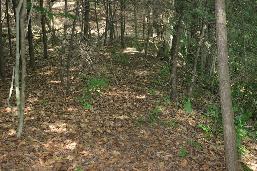 0 Conway Road Ashfield, MA 01330 - Photo 5 of 18