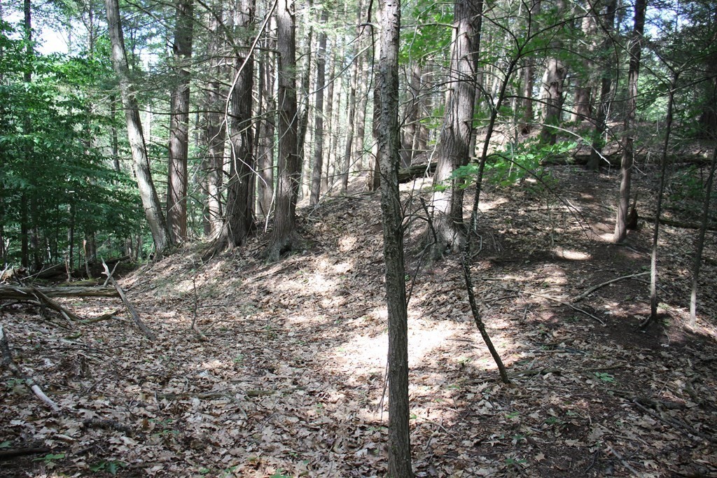 0 Conway Road Ashfield, MA 01330 - Photo 7 of 18