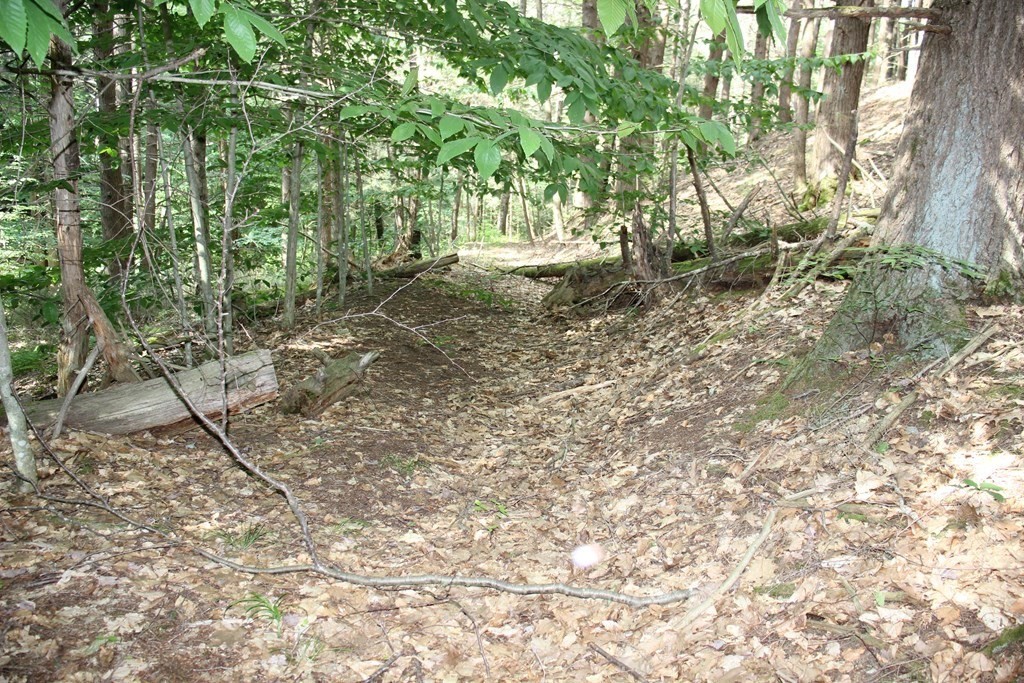 0 Conway Road Ashfield, MA 01330 - Photo 8 of 18 a view of yard