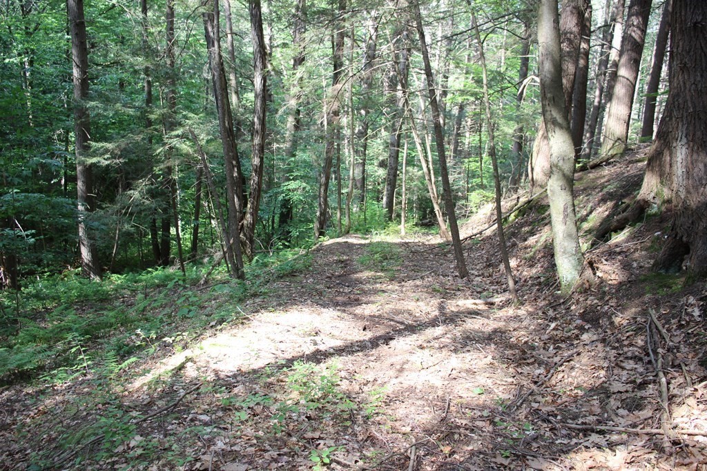 0 Conway Road Ashfield, MA 01330 - Photo 9 of 18 a backyard of a house with lots of green space