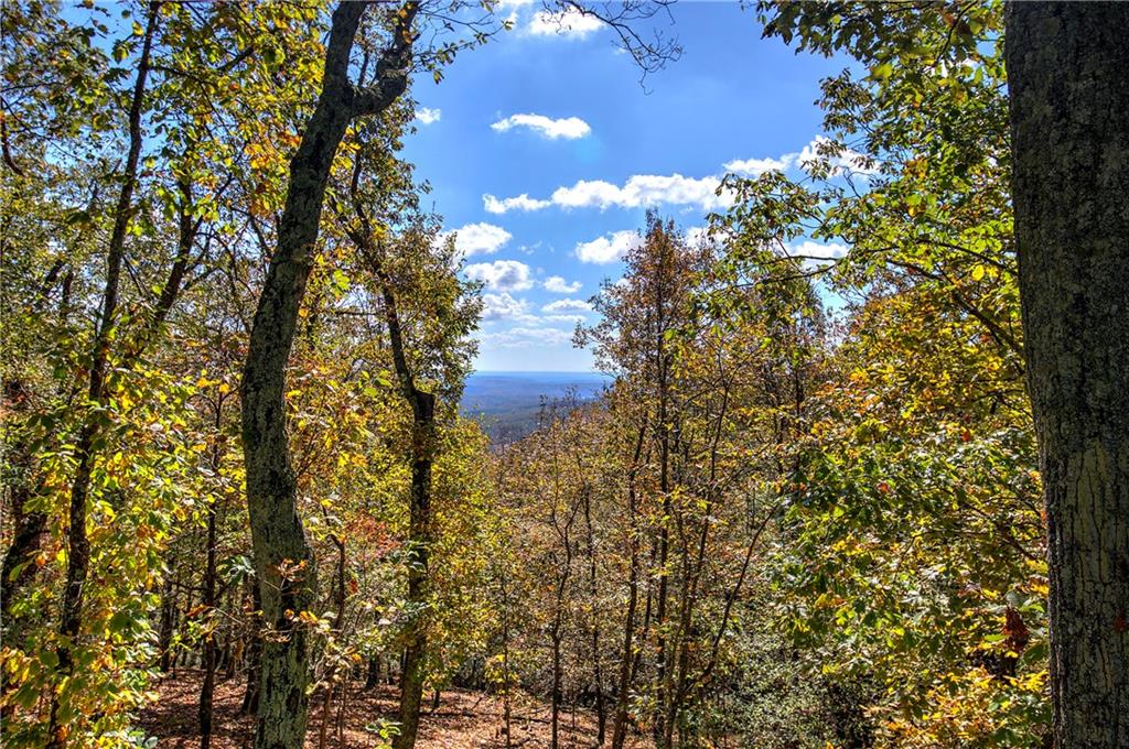 450 Little Hendricks Mountain Road Jasper, GA 30143 - Photo 22 of 61